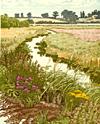 Landcape Artwork - Jan Dingle - Summer Meadows